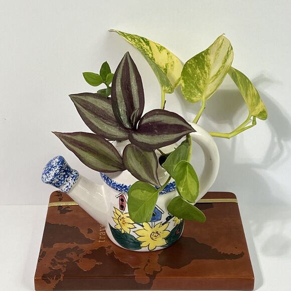 Vintage 80's Sculptural Watering Can Ceramic Flower Frog Propagation Station - Picture 5 of 13